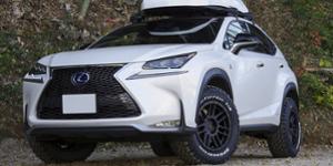 Lexus NX300h